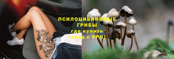 наркотики Богданович