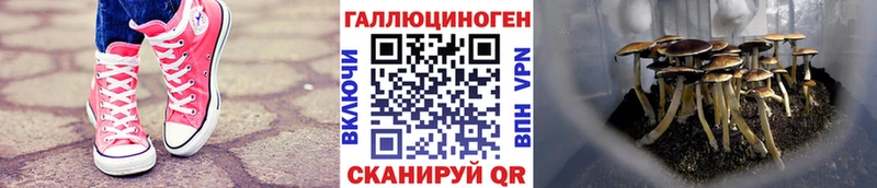 Галлюциногенные грибы ЛСД  Химки 
