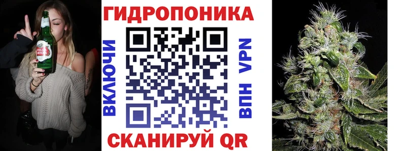 где продают наркотики  гидра маркетплейс  Бошки марихуана OG Kush  Химки 